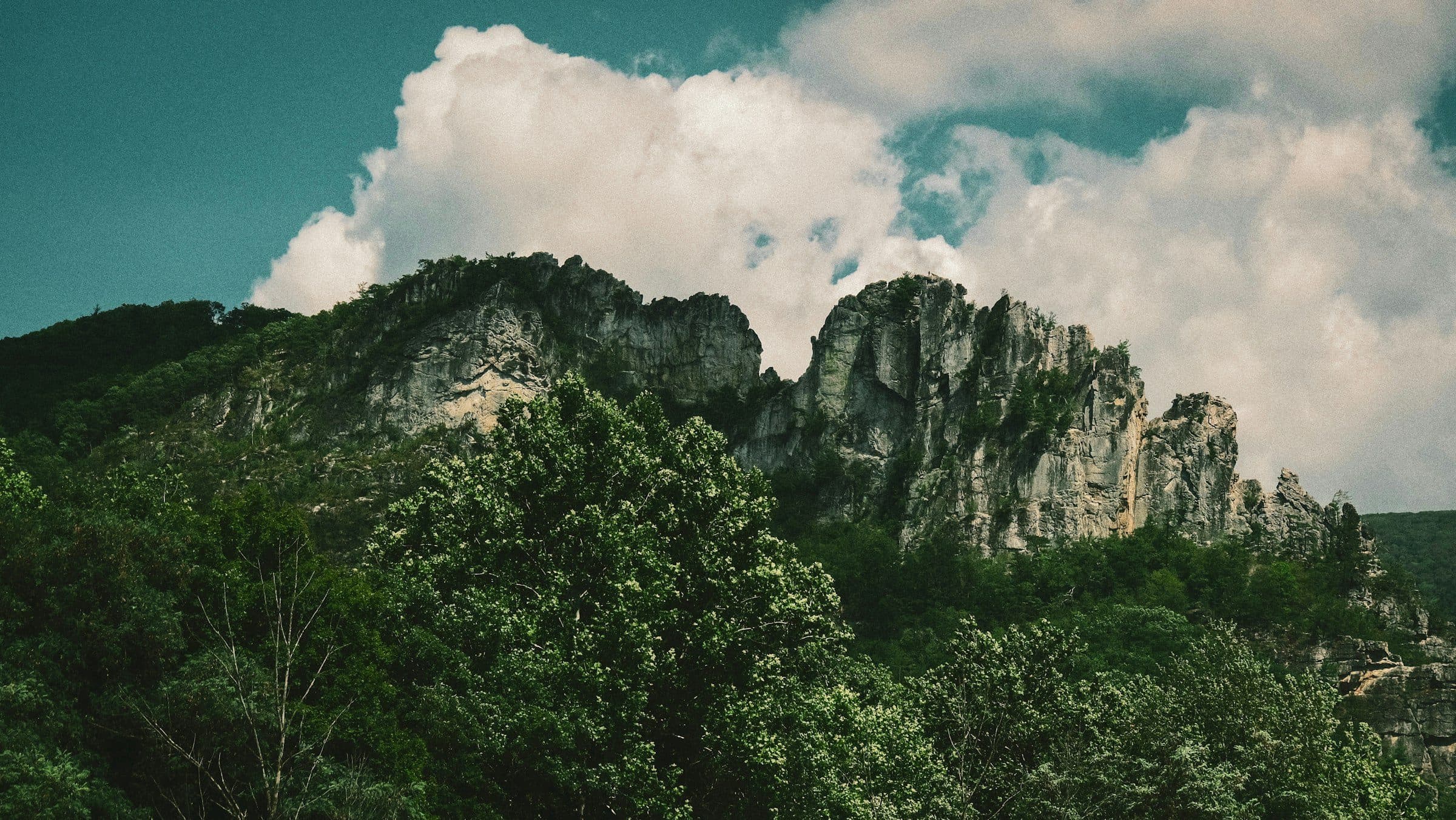 Seneca Rocks above the forest
